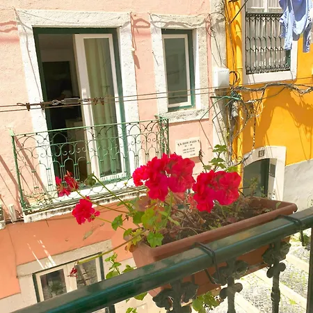 The Funicularist - In Historic Bica * リスボン